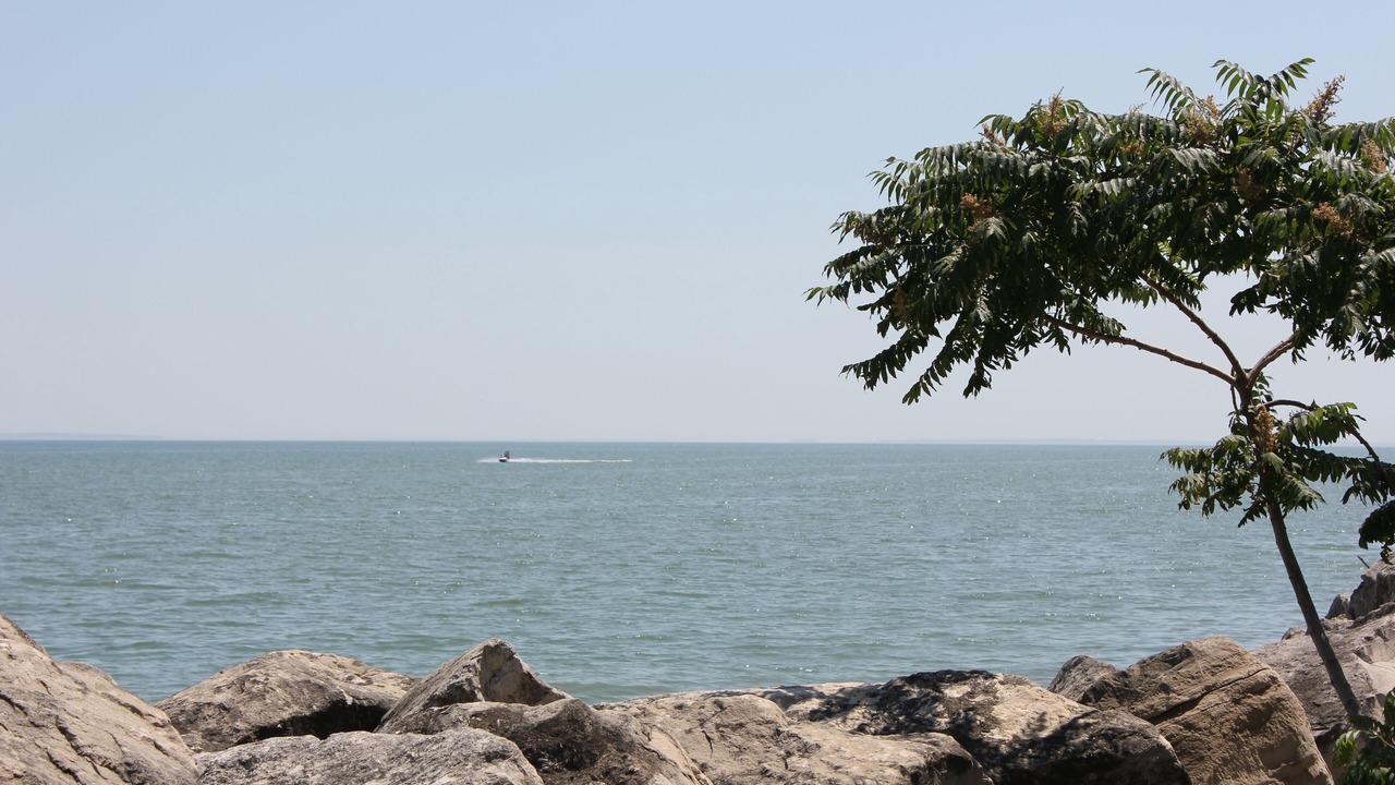 Photo of Outdoor in Oak Harbor
