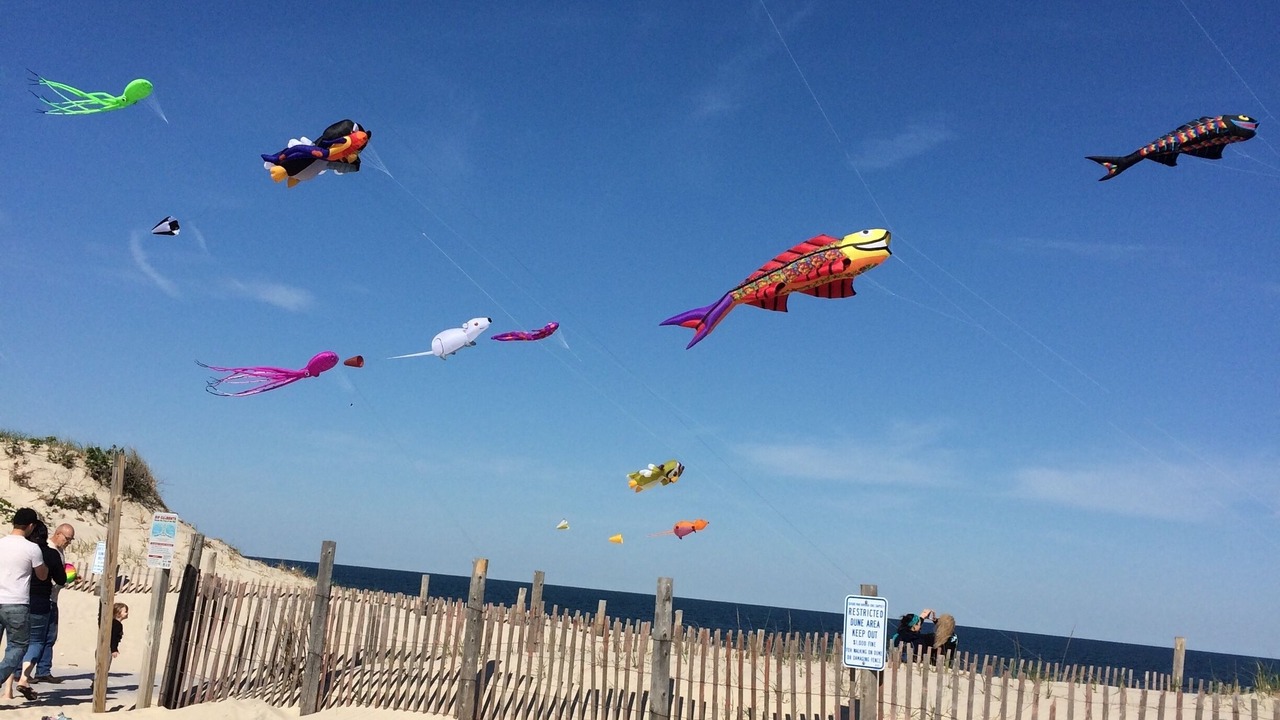 Photo of Others in Ortley Beach