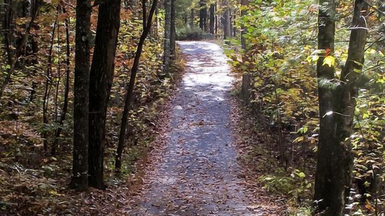 Photo of Others in Mineral Bluff