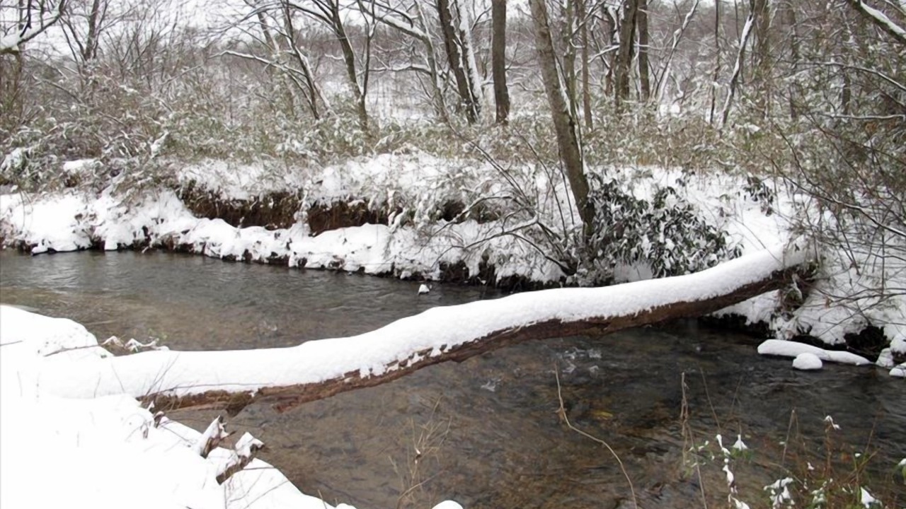 Photo of Others in Mineral Bluff