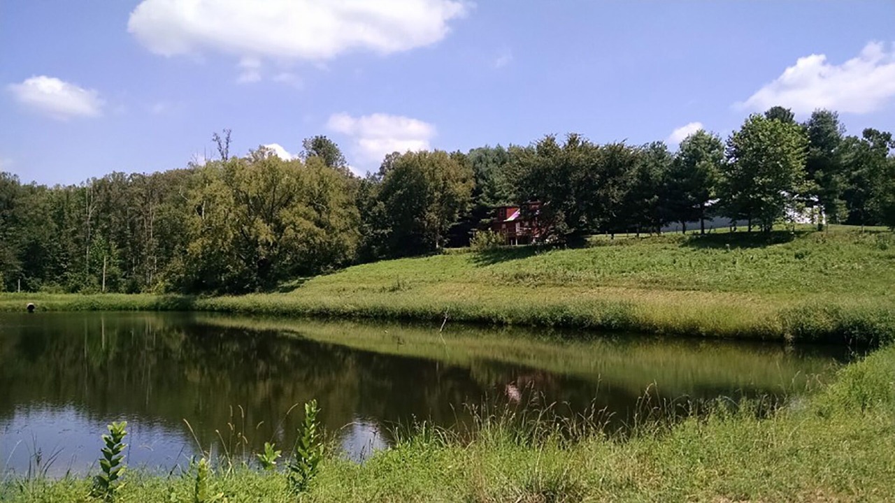 Photo of Others in Stewart