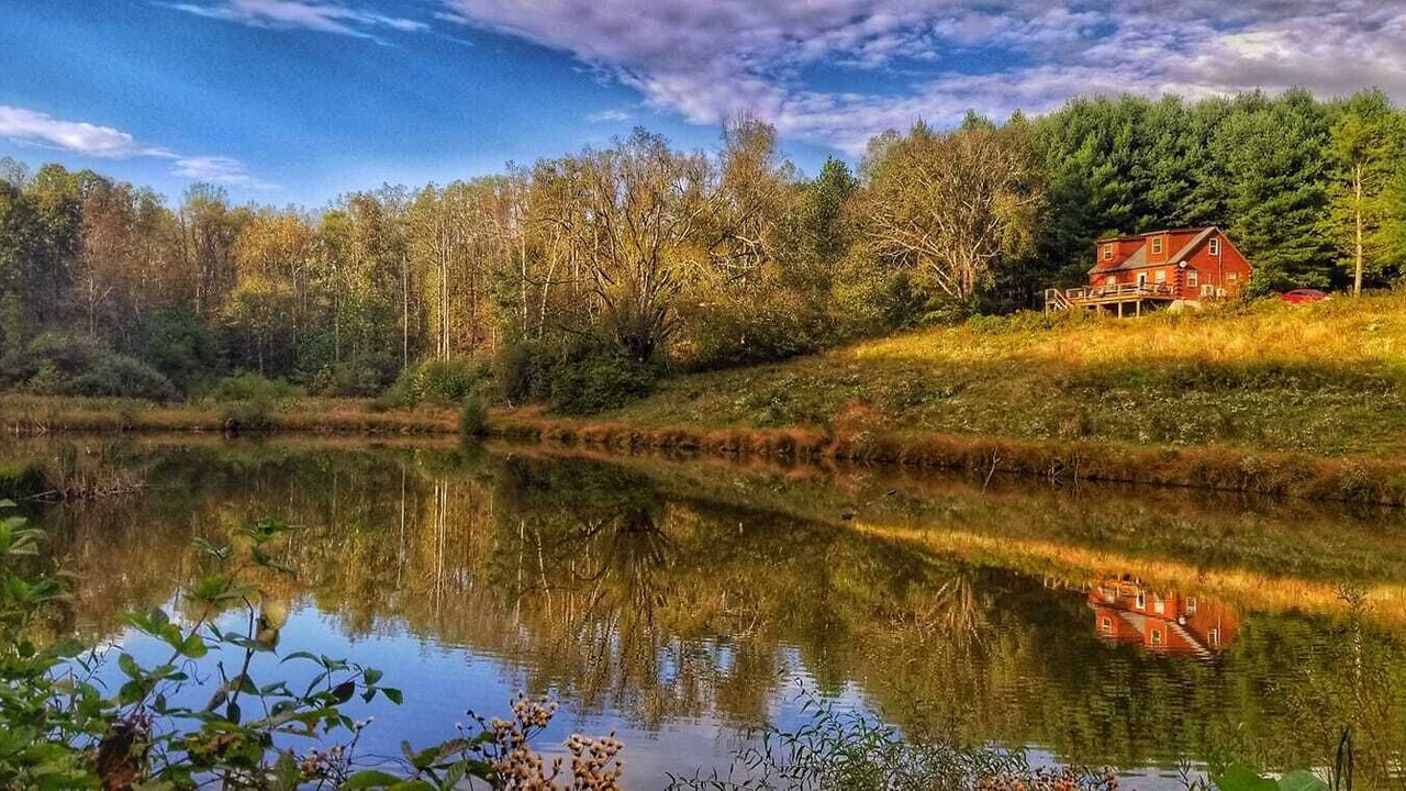 Photo of Outdoor in Stewart