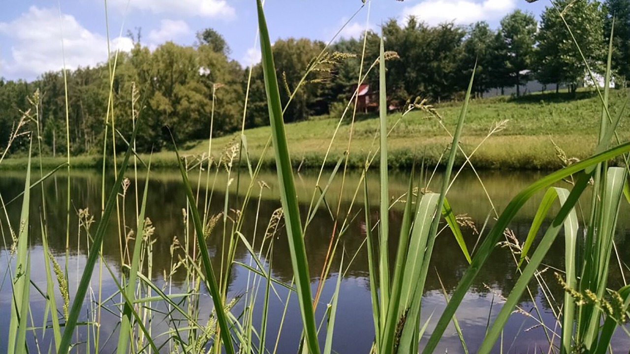 Photo of Outdoor in Stewart