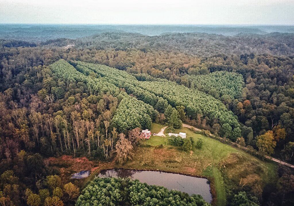 Photo of Others in Stewart