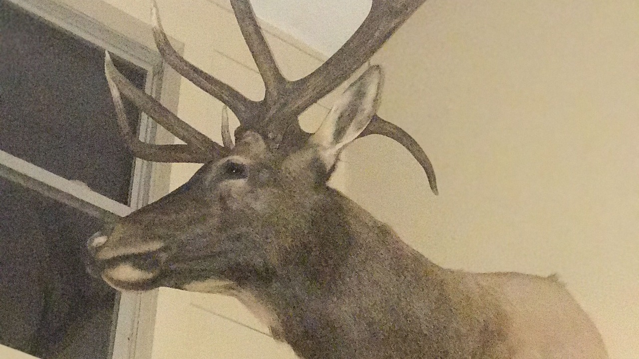Photo of Others in Stewart