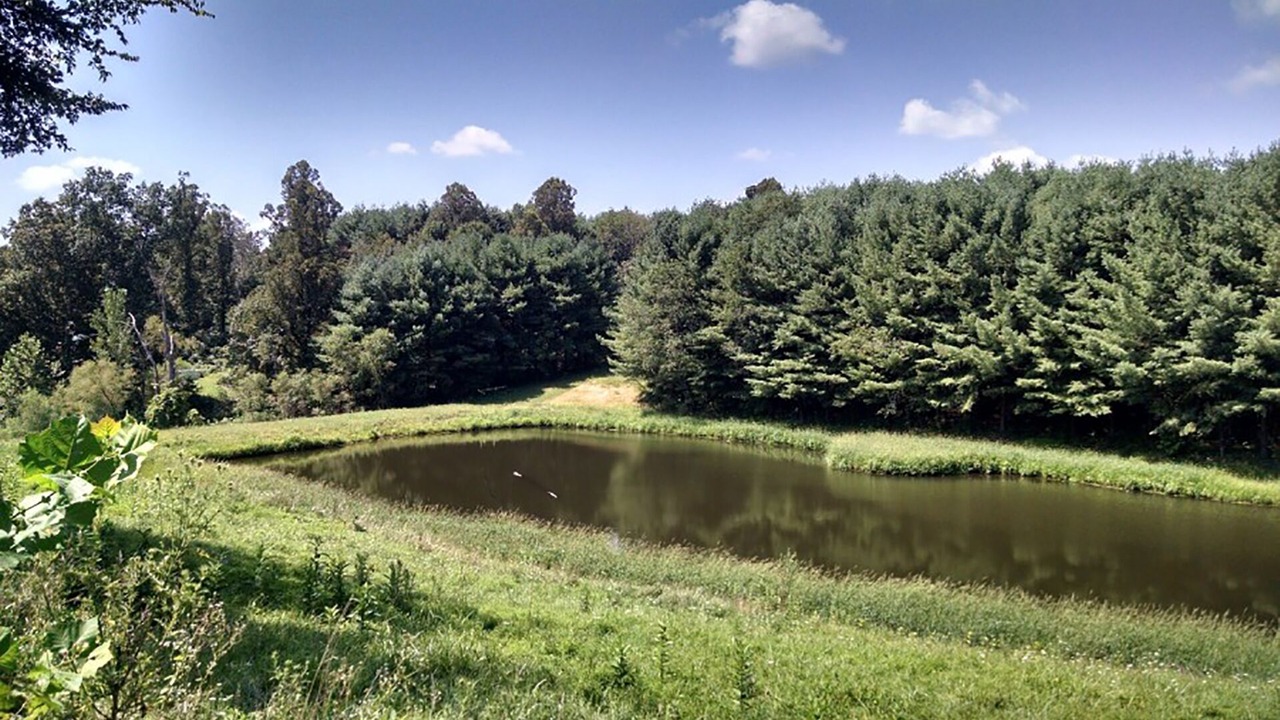 Photo of Outdoor in Stewart