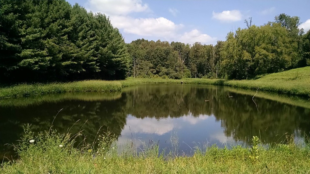 Photo of Outdoor in Stewart