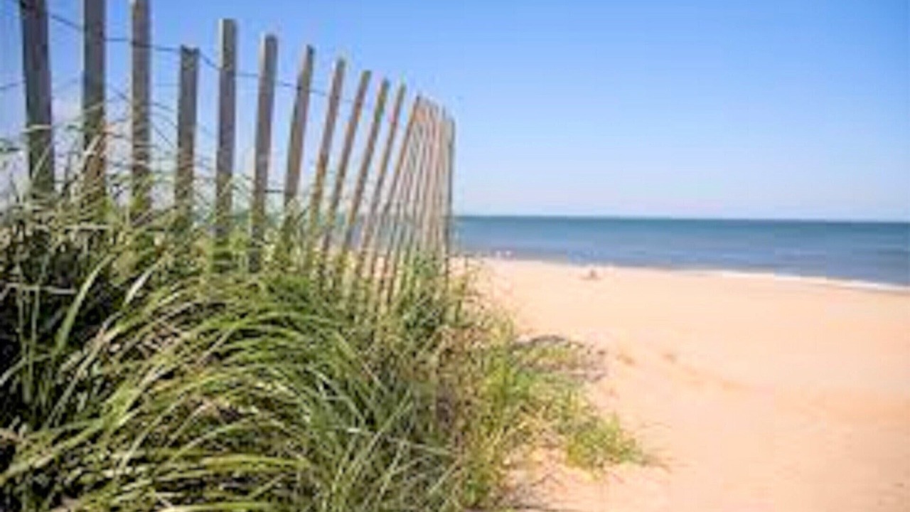 Photo of Others in Dewey Beach
