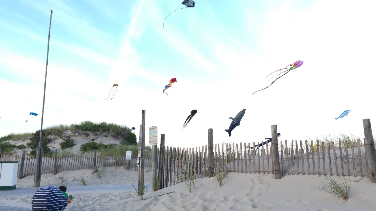Photo of Others in Seaside Heights