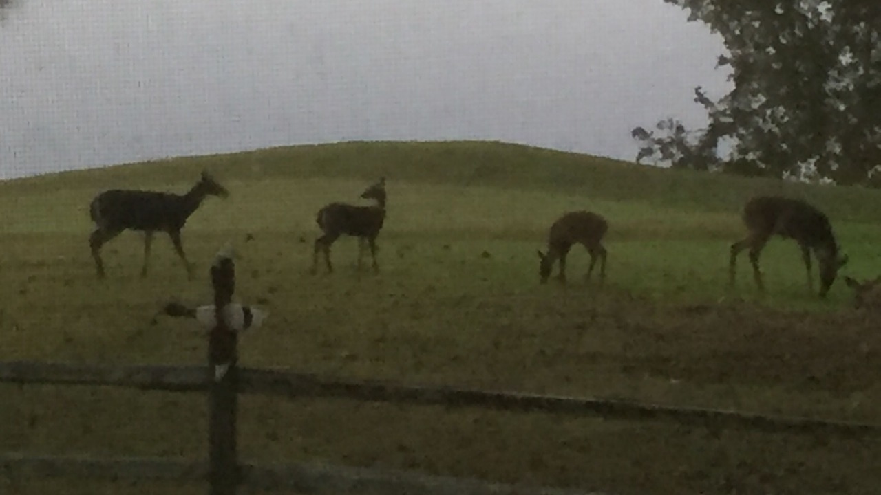Photo of Others in Pulaski