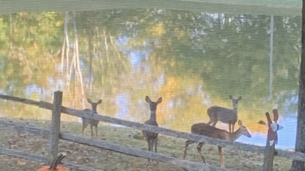Photo of Others in Pulaski