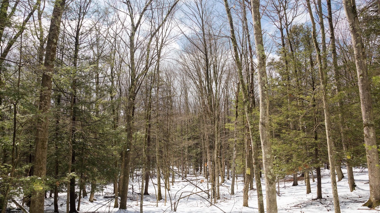 Photo of Outdoor in Benton