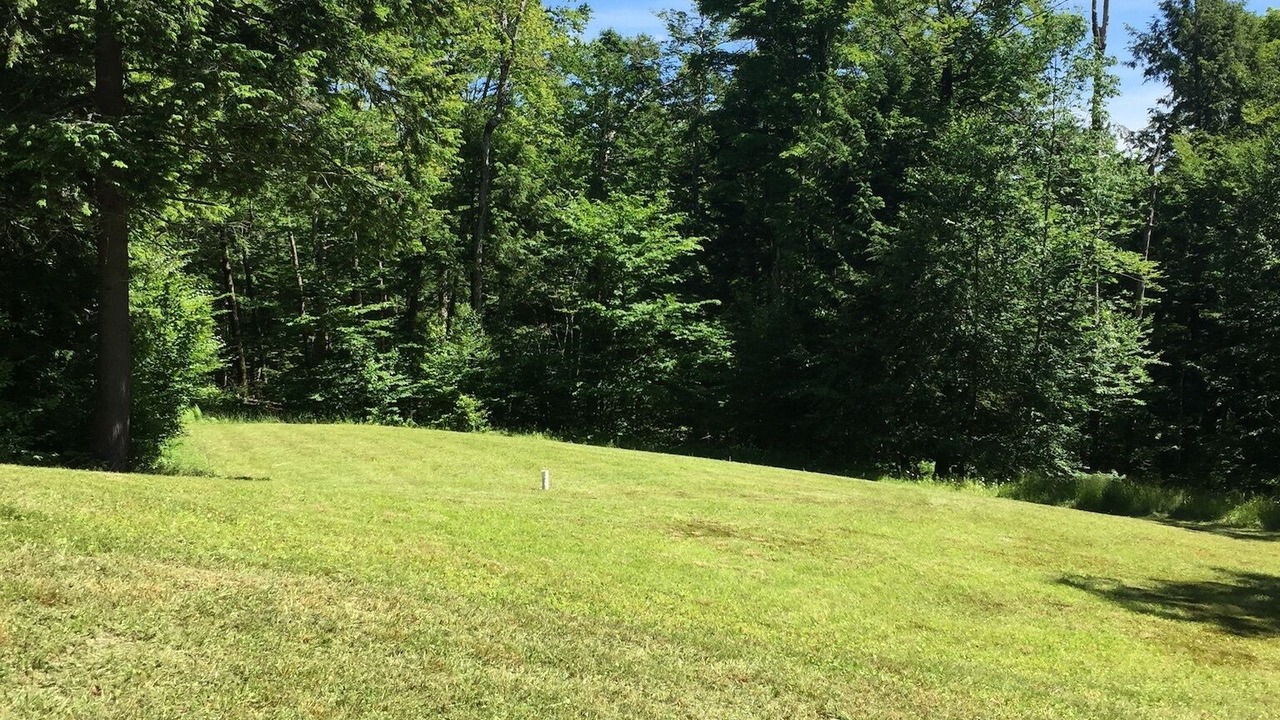 Photo of Outdoor in Downsville