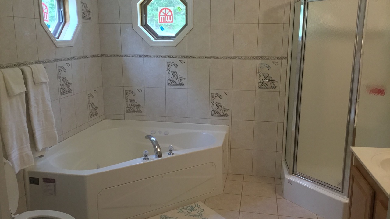 Photo of Bathroom in Downsville