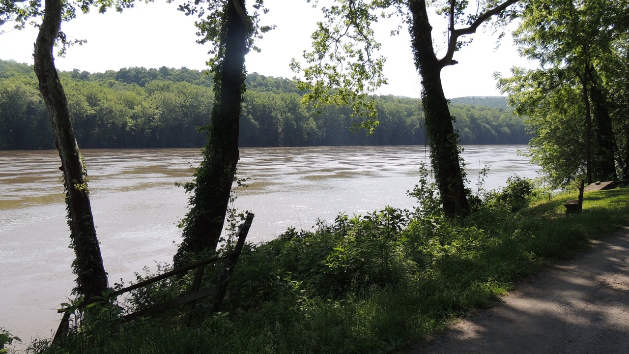 Photo of Others in Bakerton