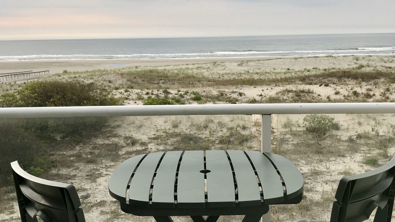 Photo of Others in Gold Coast