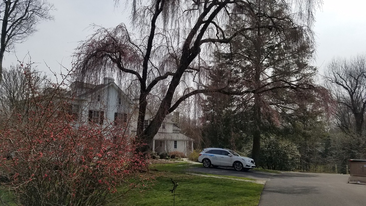 Photo of Outdoor in Ambler