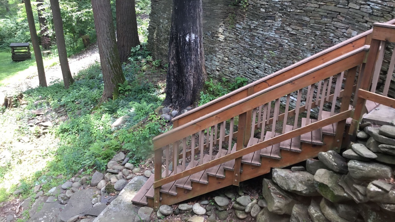 Photo of Outdoor in Bodines