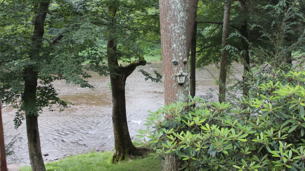 Photo of Outdoor in Bodines