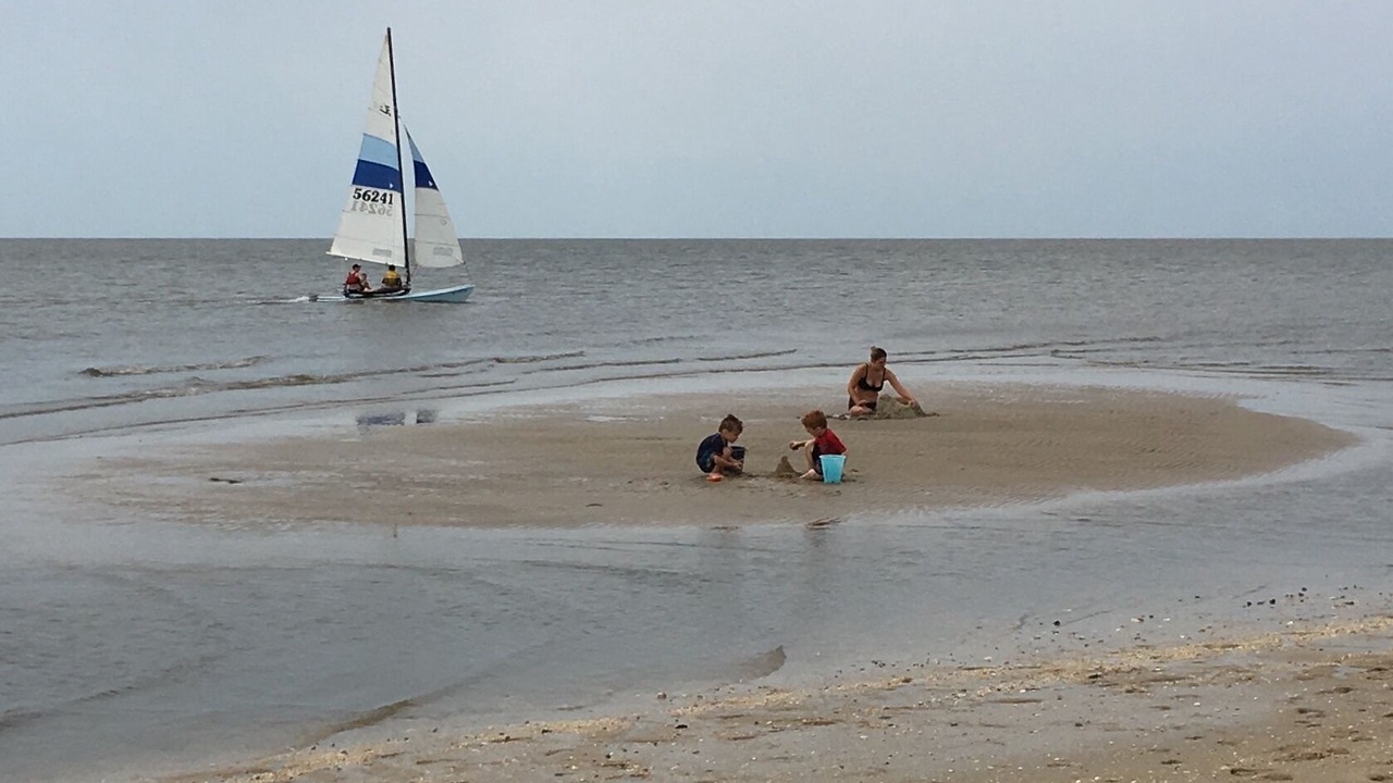 Photo of Others in North Cape May