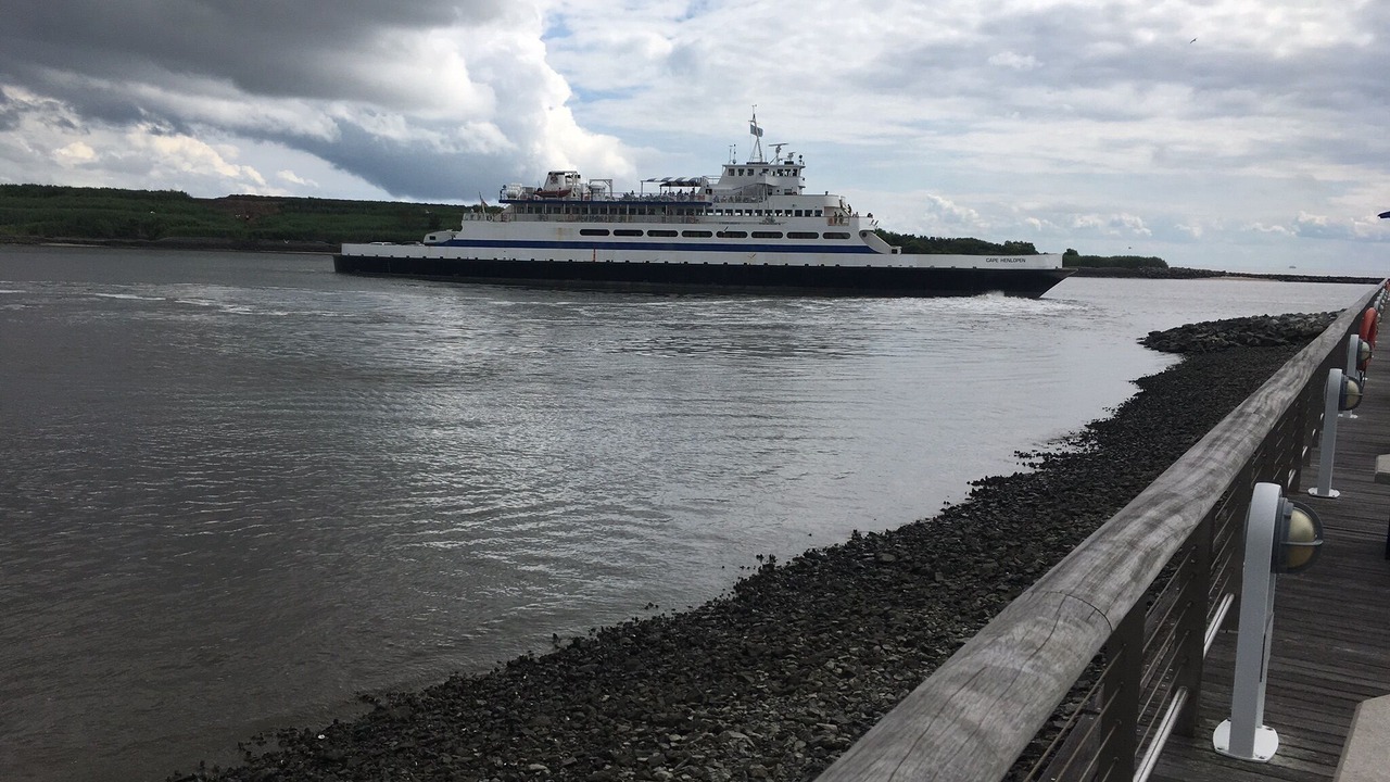 Photo of Others in North Cape May