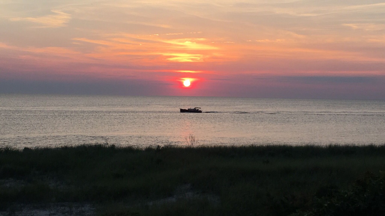 Photo of Others in North Cape May