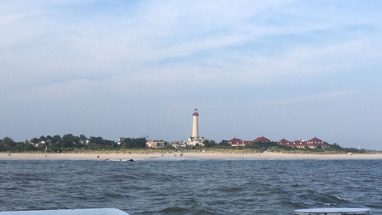 Photo of Others in North Cape May