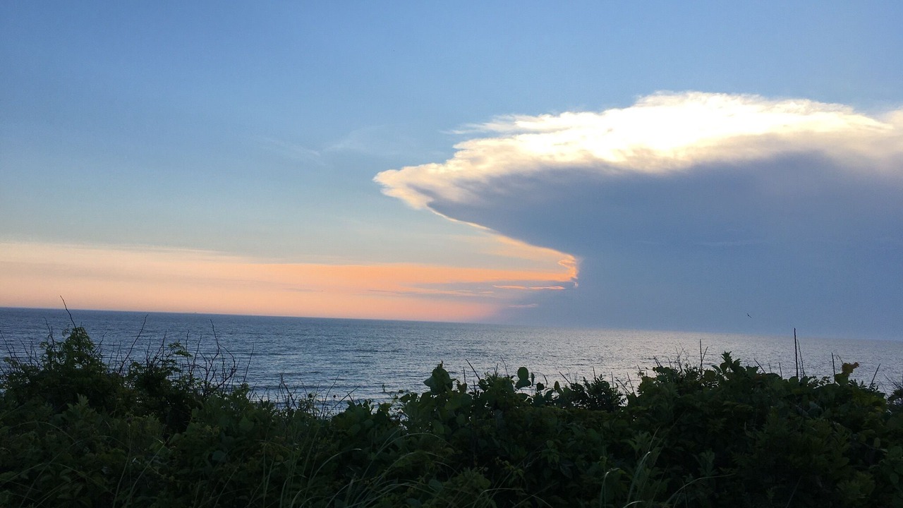 Photo of Others in North Cape May