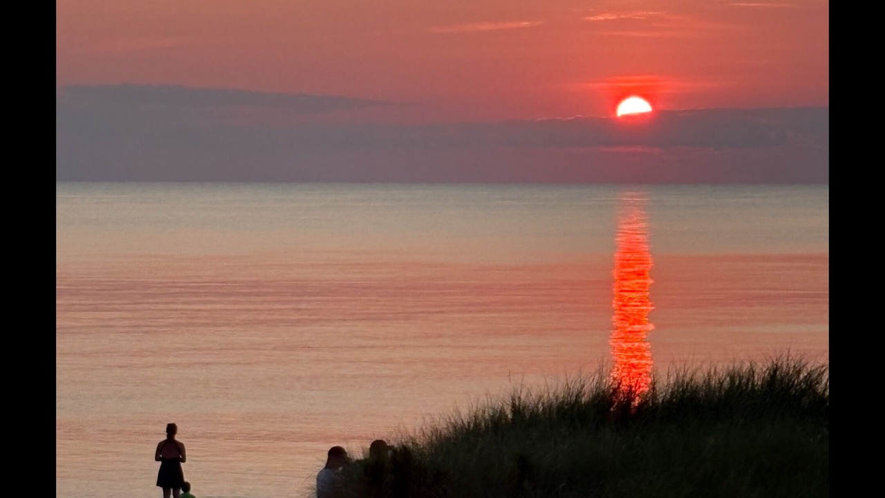 Photo of Others in North Cape May
