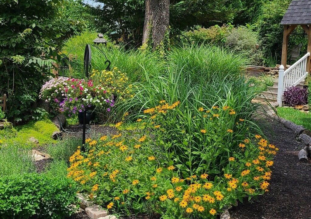 Photo of Outdoor in Jacksboro