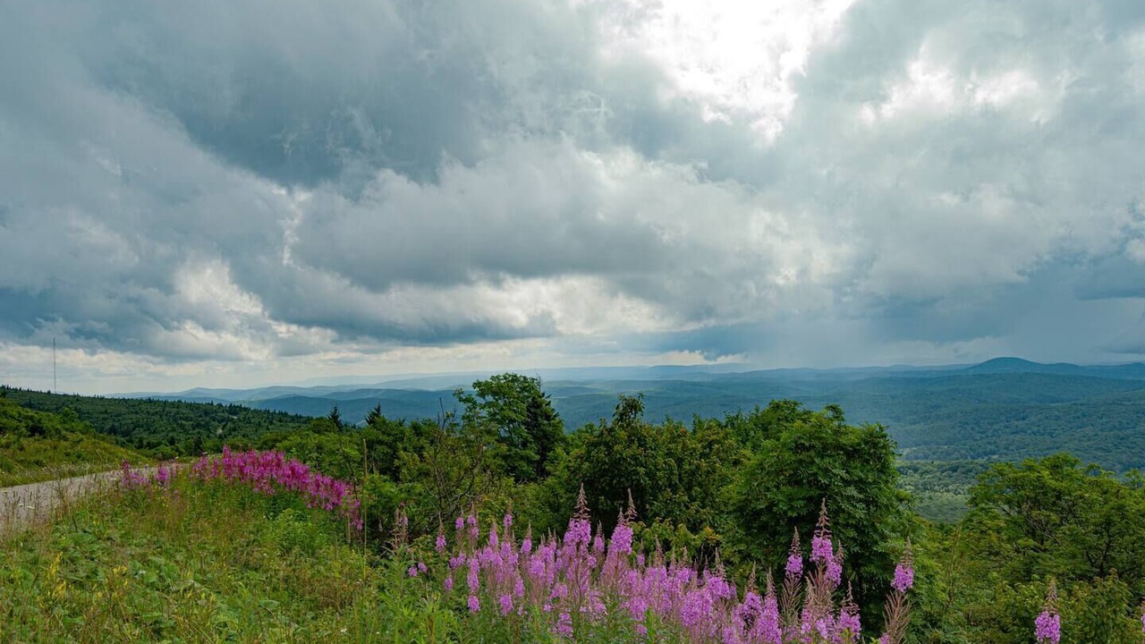 Photo of Others in Allegheny Mountains