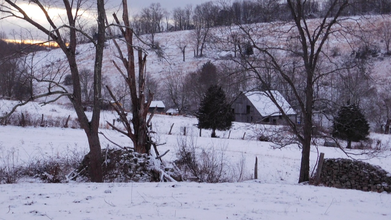 Photo of Outdoor in Lindside