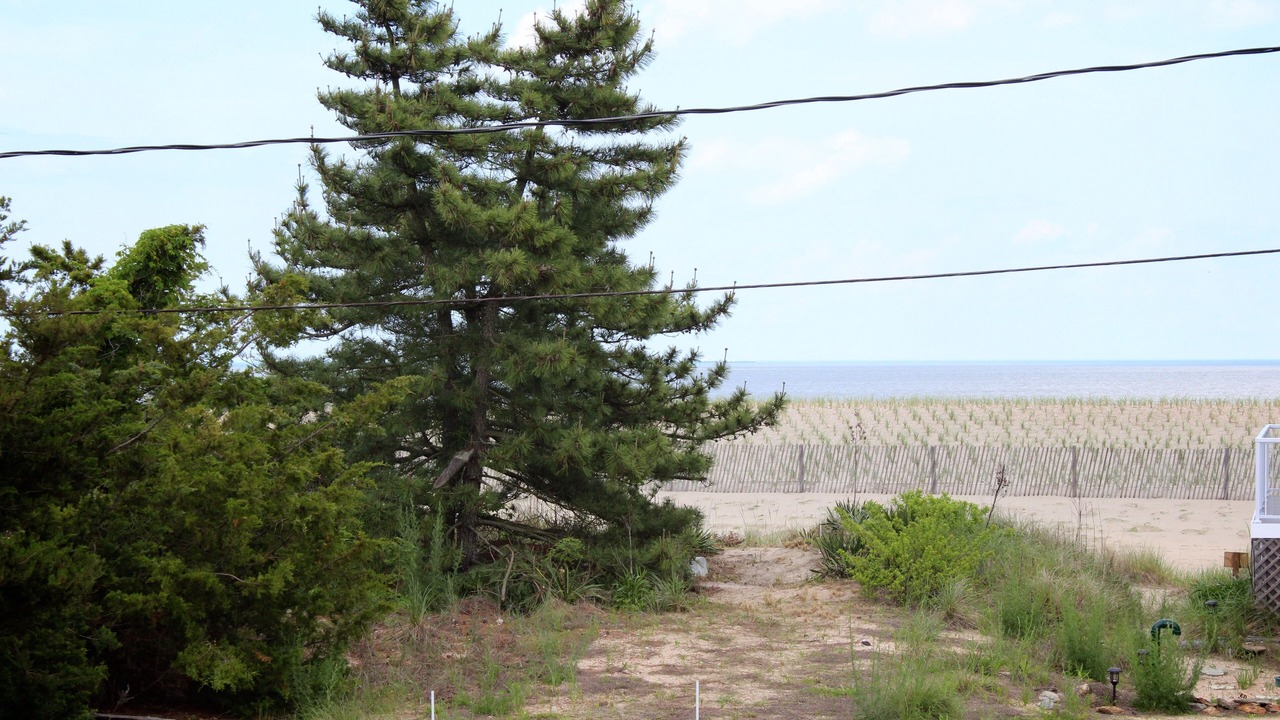 Photo of Others in Broadkill Beach