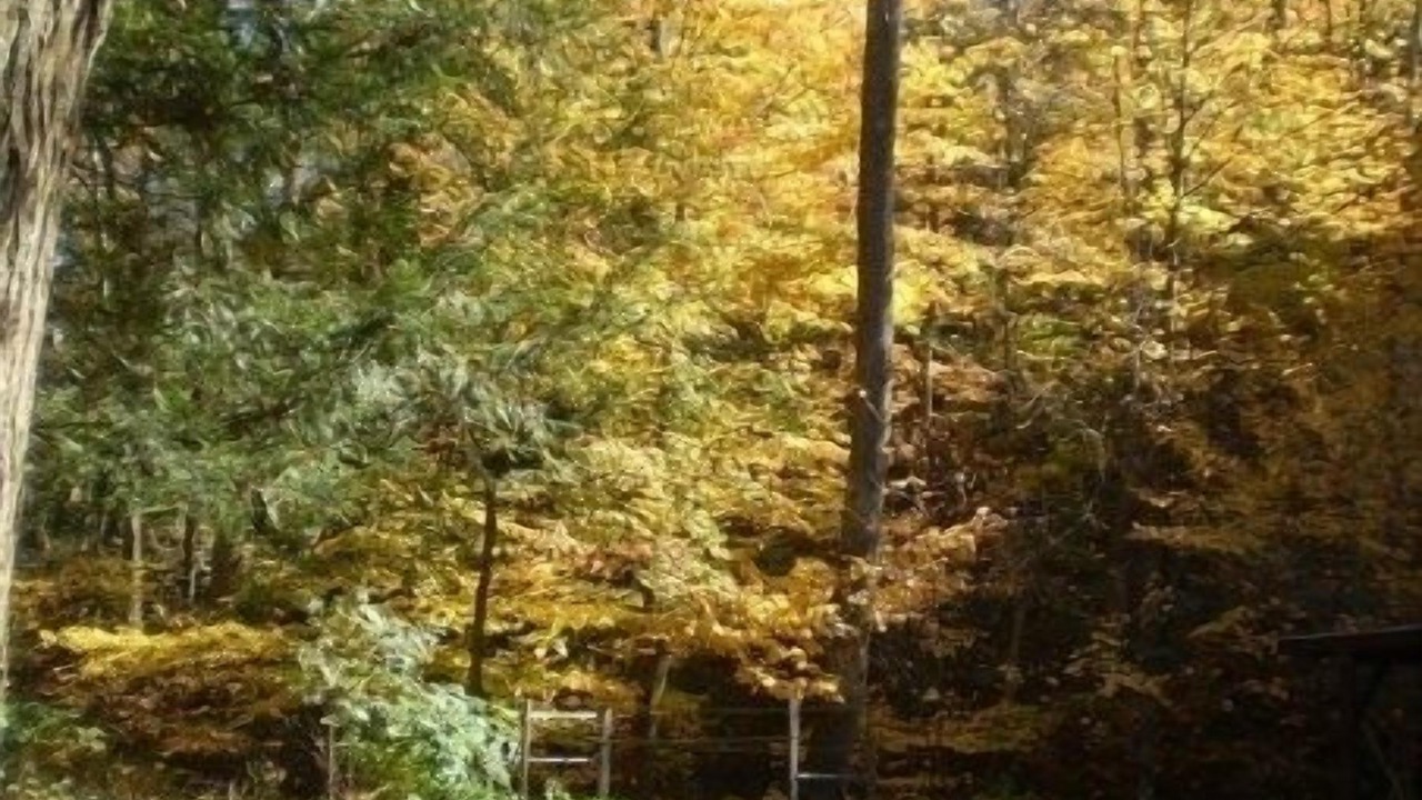 Photo of Others in Stroudsburg