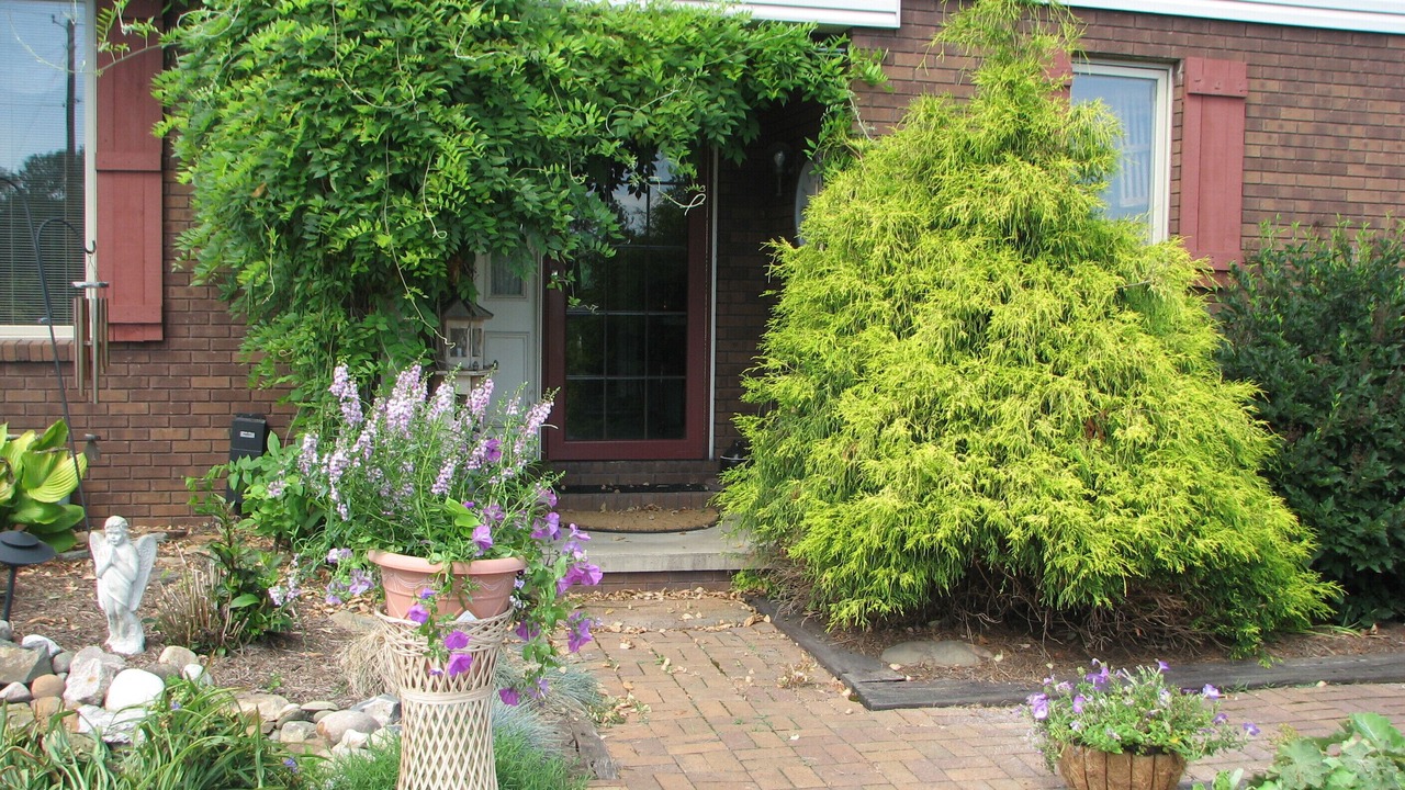 Photo of Outdoor in Millersburg