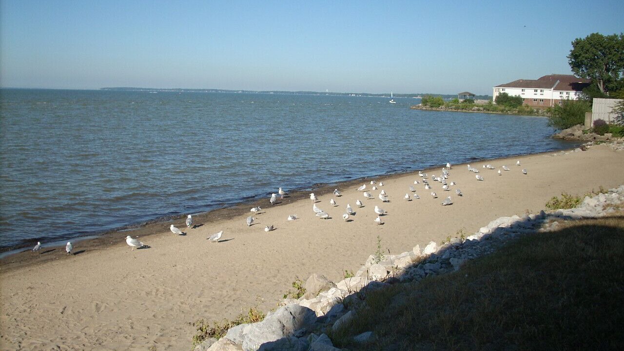 Photo of Others in Port Clinton
