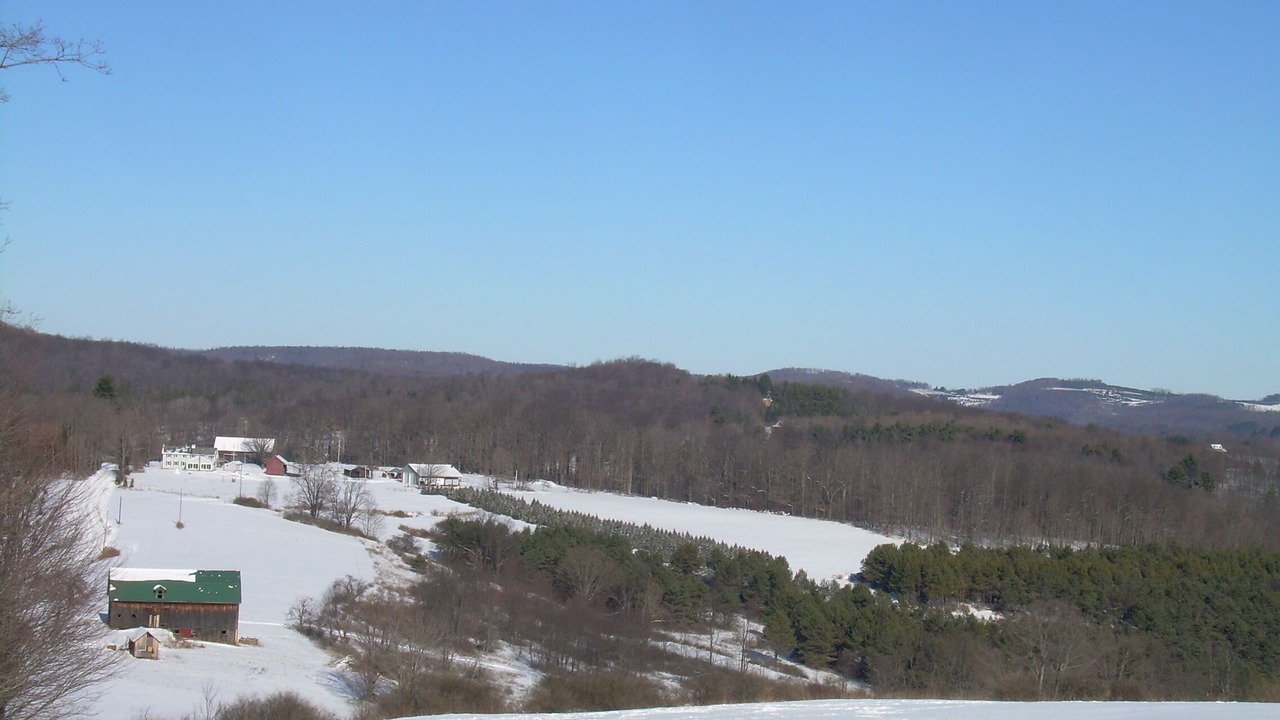 Photo of Others in Galeton