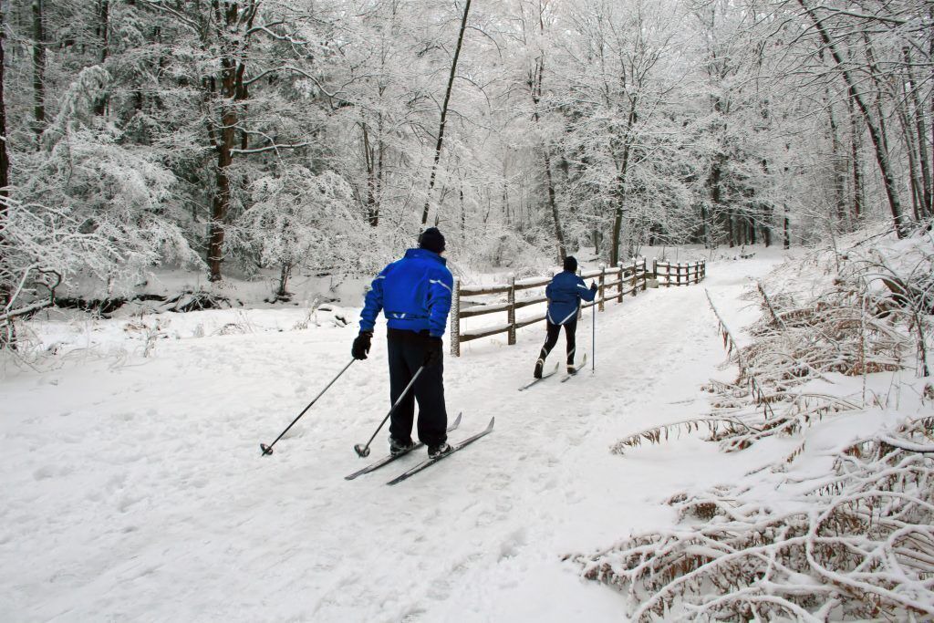 Photo of Others in Swanton