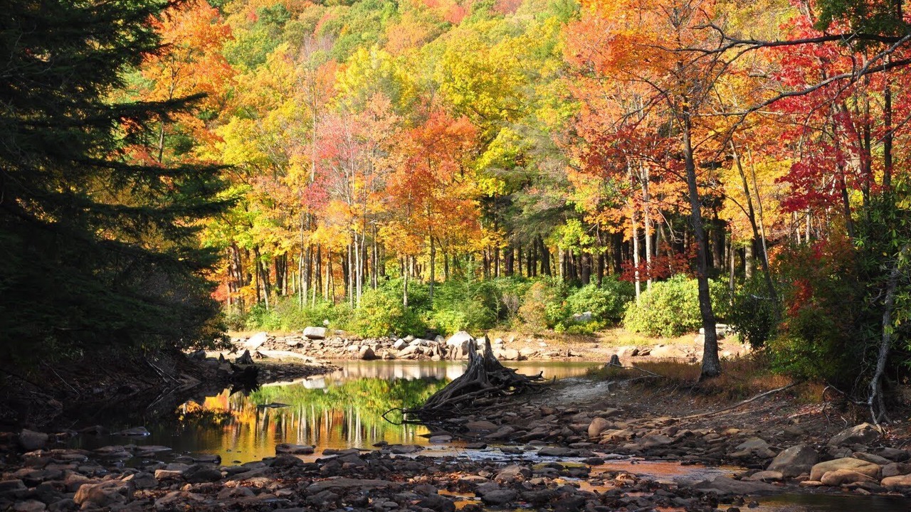 Photo of Others in Swanton