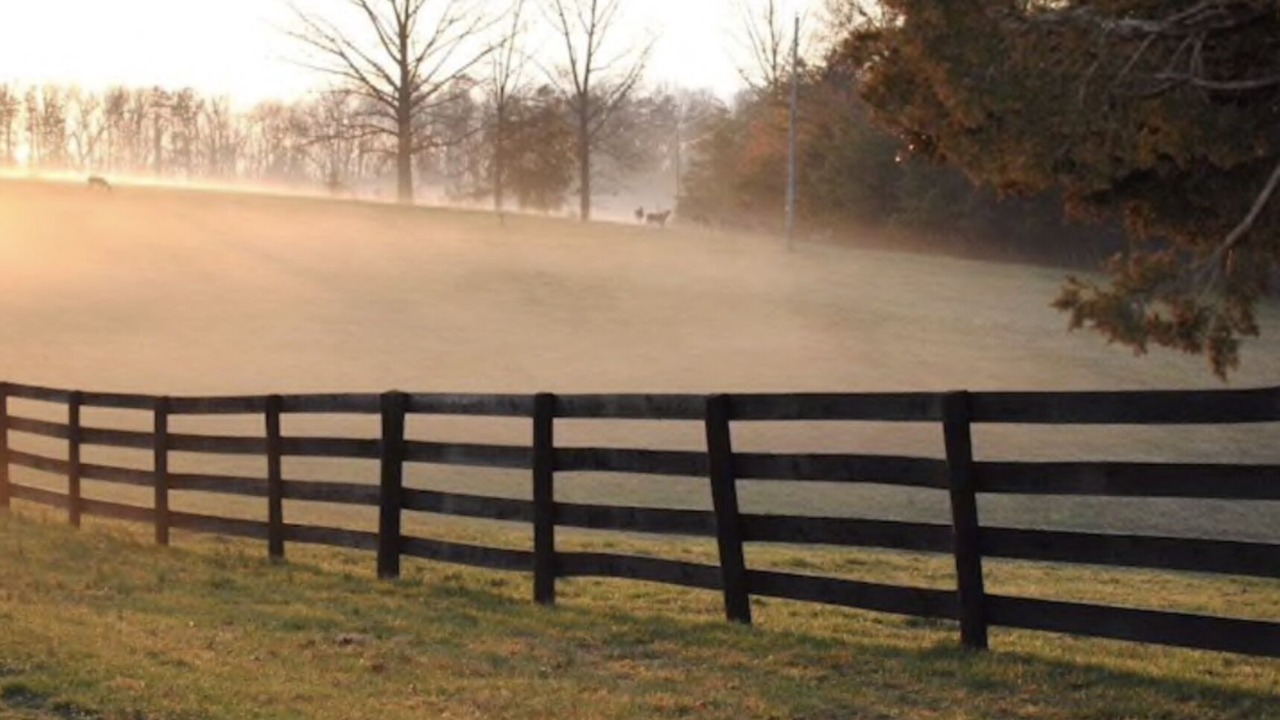 Photo of Outdoor in Ridge