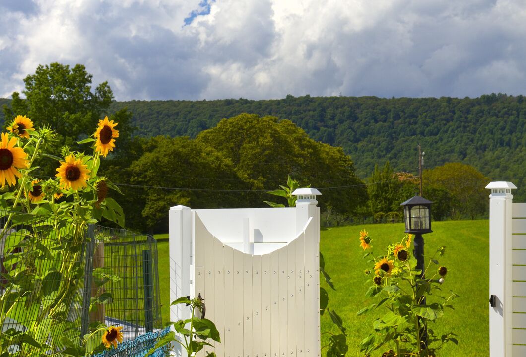 Photo of Outdoor in Stony Run