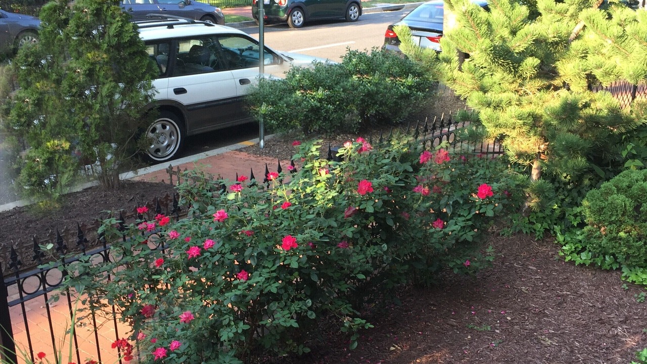 Photo of Others in Capitol Hill