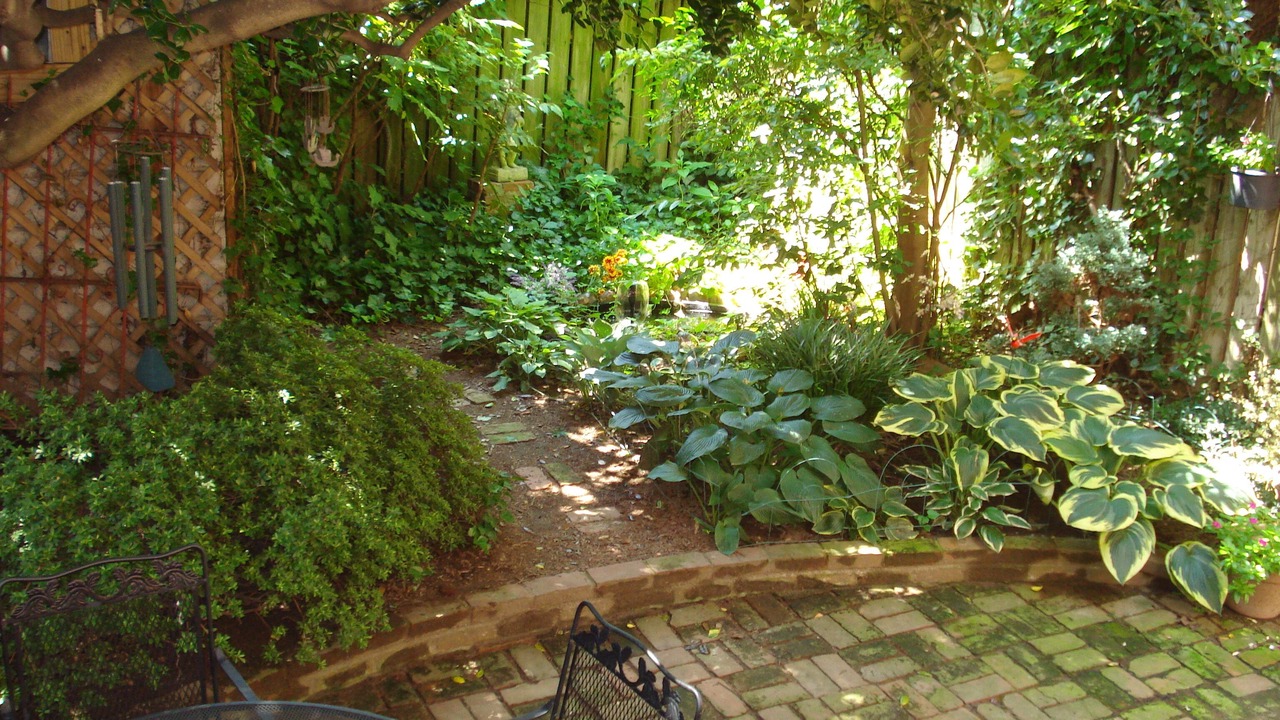 Photo of Outdoor in Capitol Hill