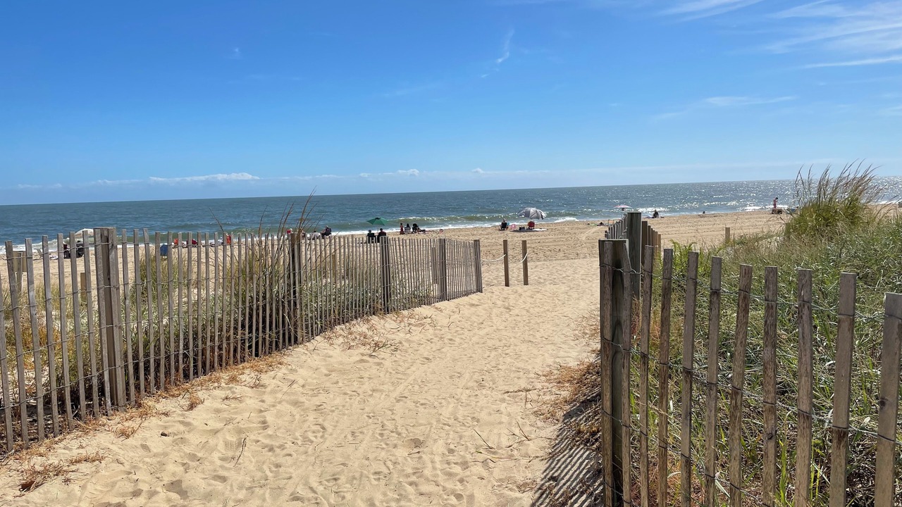 Photo of Others in North Ocean City