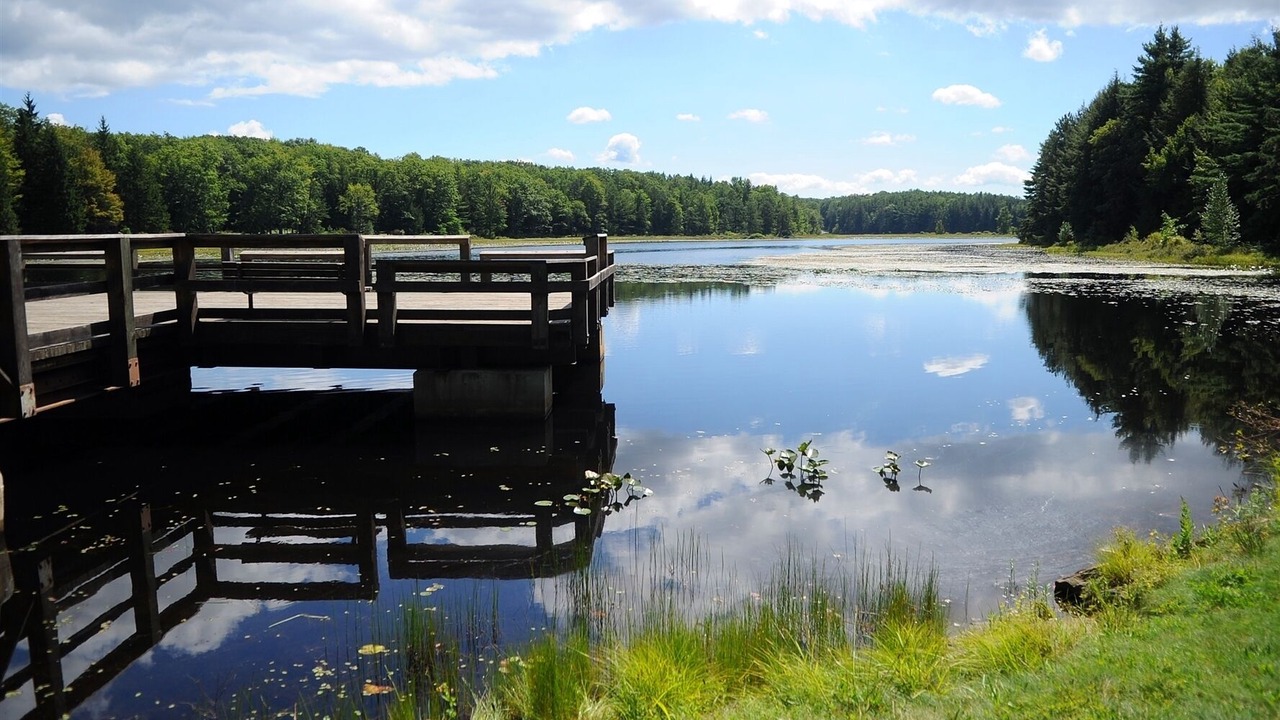 Photo of Outdoor in Munson