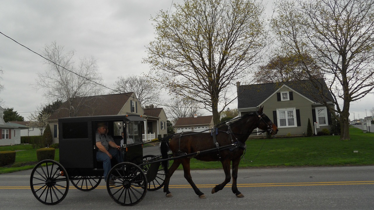 Photo of Others in Leola