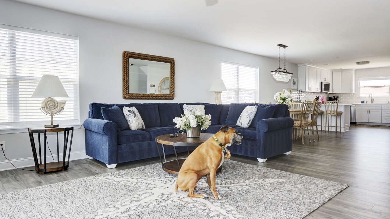 Photo of Livingroom in Brigantine