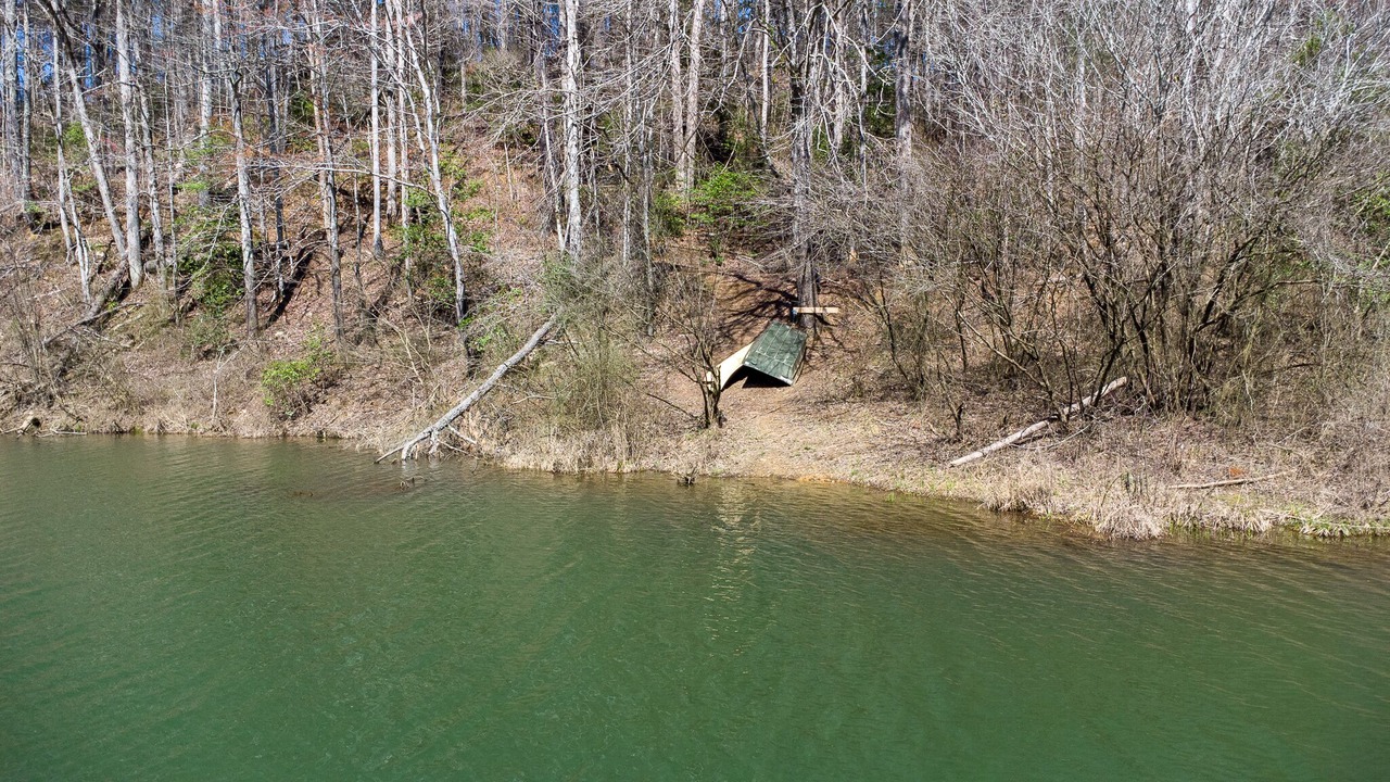 Photo of Others in Ellijay