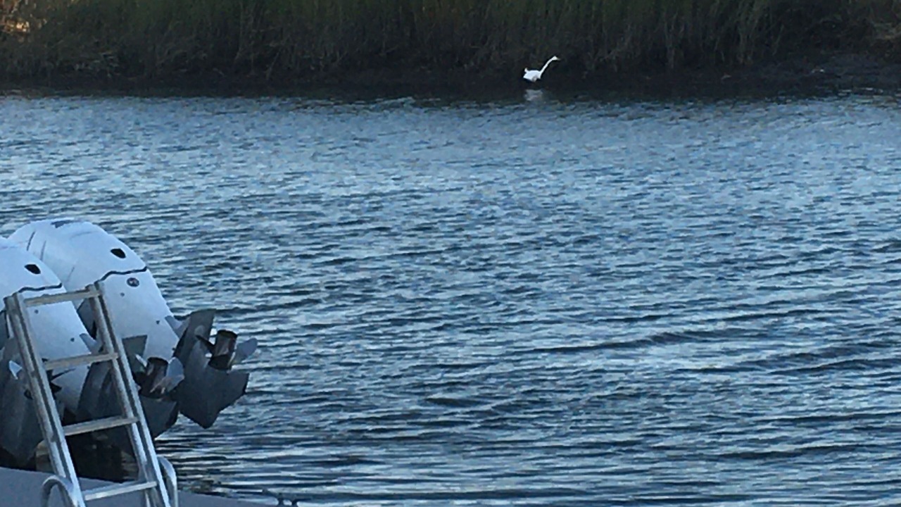 Photo of Others in Cape May - Wildwood