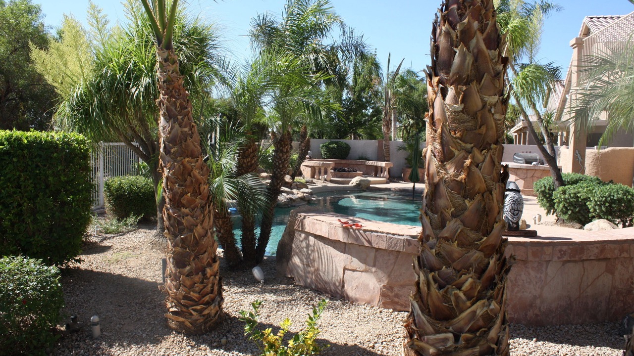 Photo of Others in Superstition Springs